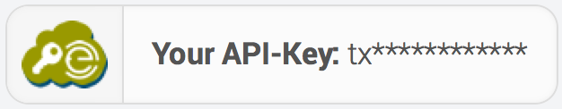 API Key Example